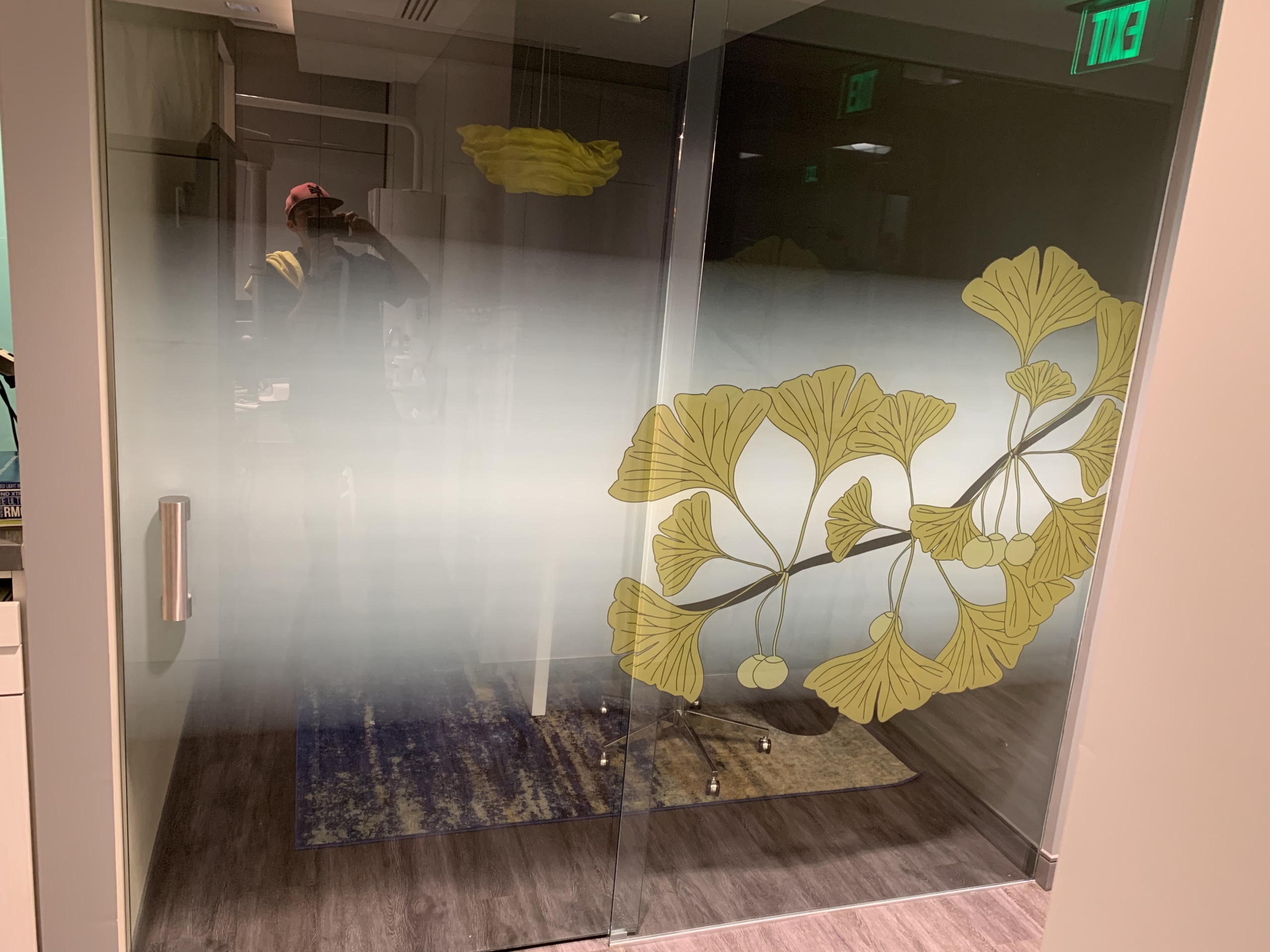 translucent graphics dental office 1